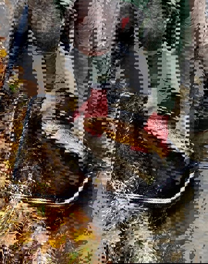 Prøvefiske Møllendalselven