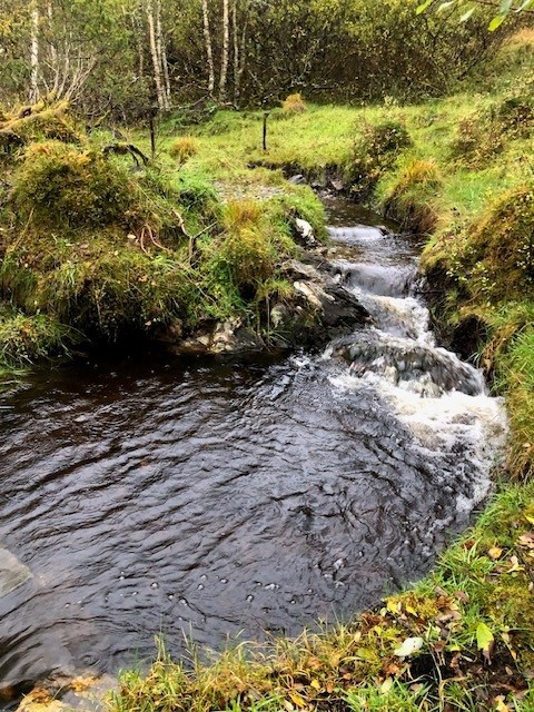 Stor fremgang i arbeidet på smørås