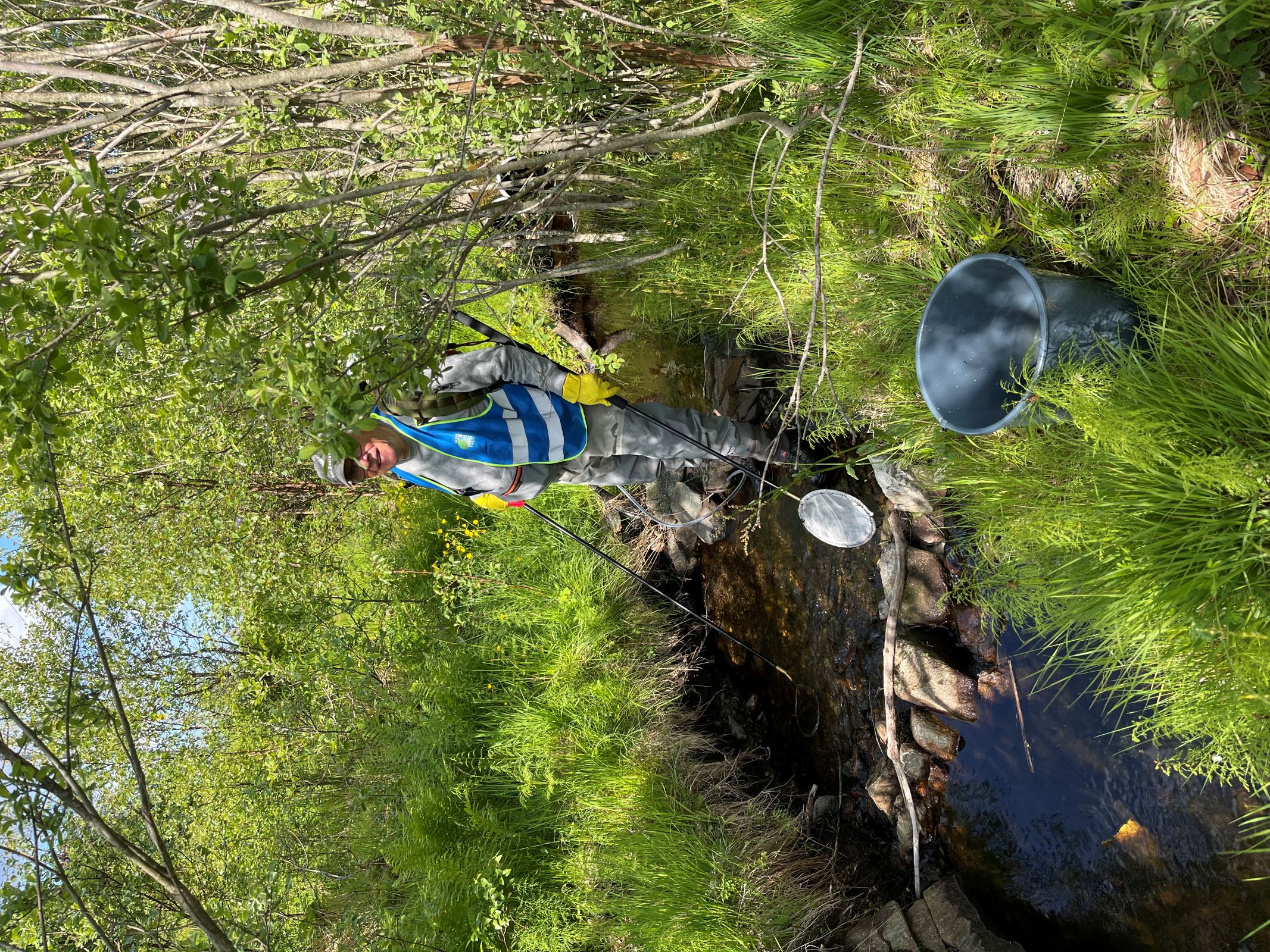 Artikkelbilde til artikkelen Prøvefiske i Bjørnebekk på Smøråsfjellet 11/6-2025
