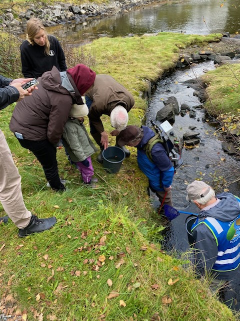 Elfiske i Vågelva på Milde